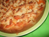 Biscuit et tarte aux abricots,bis repetita