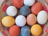 Teindre des œufs avec des couleurs naturelles : spécial Pâques, la suite
