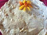 Gâteau glacé au yaourt et aux abricots sans cuisson au four
