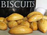Biscuits aux oeufs