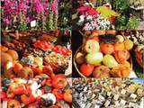 Cours Saleya Nice – le marché aux fleurs