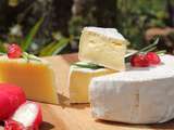 Différents types de fromages