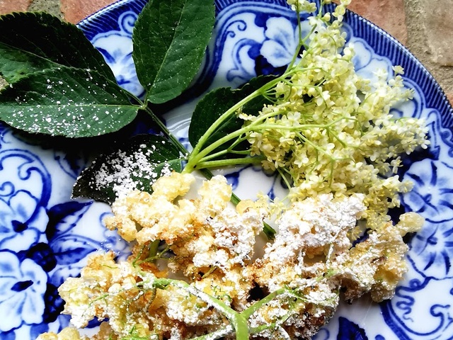 Sirop, gelée, beignets des recettes avec des fleurs de sureau