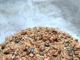 Granola aux graines de courge & aux noix