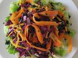 Salade de chou rouge à la betterave, carotte & mimolette