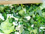 Salade fattouche au pourpier sauvage