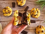Brookie healthy
