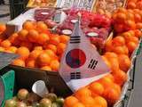Voyages Culinaires: Séoul