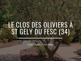 Clos des Oliviers, restaurant au cadre chic et feutré à côté de Montpellier