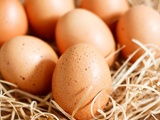 Comment savoir si un œuf est toujours frais