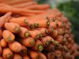 Fruits et légumes du dimanche 15/10/2017 : la carotte