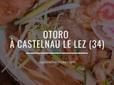 Otoro, pour manger Japonais à Castelnau le Lez