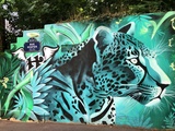13ème de Paris en couleurs : Street Art, jardin de la Poterie des Peupliers