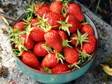 Charlotte aux fraises Tupperware