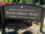 Doria aux Etats Unis dans l'Oregon (2016 - 16)... Rock Creek Trail