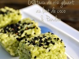 Gâteau de riz gluant au lait de coco & Pandan