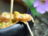 Moules piquantes au citron vert & gingembre