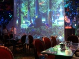 Restaurant Immersif : WonderWoods à Serris