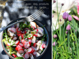 Salade de radis, champignons frais et salade du marché