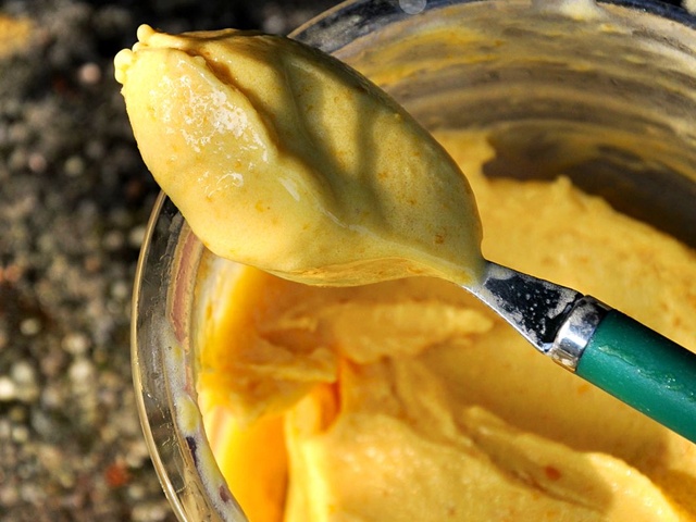 Recettes de Sorbets et Mirabelle