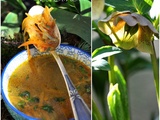 Soupe asiatique de légumes à la coriandre et gingembre