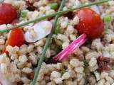 Petit épeautre du Ventoux aux tomates séchées, ciboules, radis et herbes