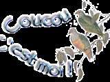 Clafoutis surimi crevette poireaux