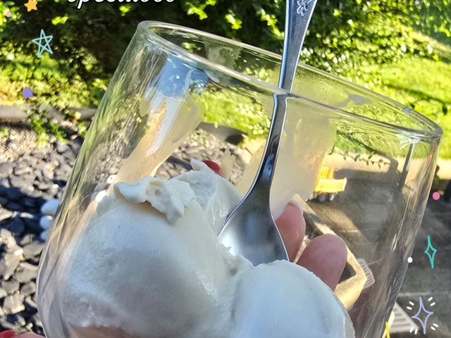 Recettes de Ninja Creami