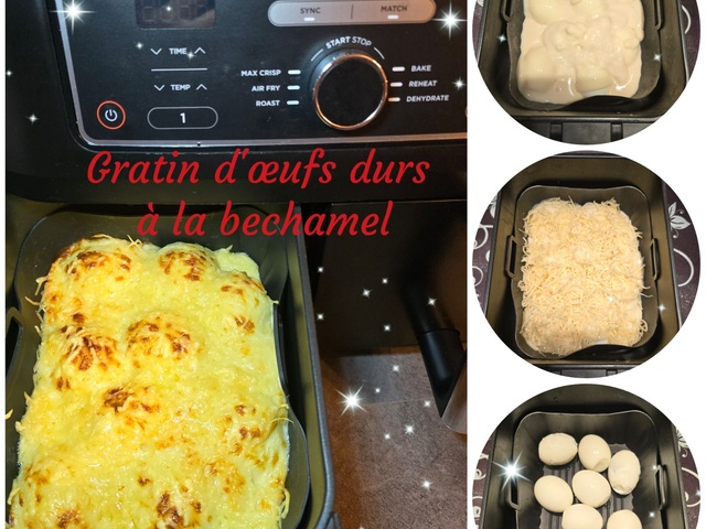 Recettes de Ninja Air Fryer