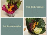 Cuirs de légumes crus - wrap végétal