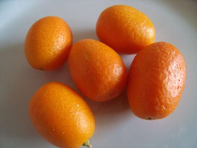 Recettes de Kumquat