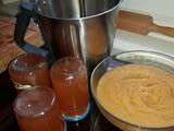 Compote et gelee de pomme (Thermomix)