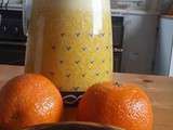 Jus de fruits (thermomix)