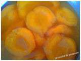 Abricots au sirop