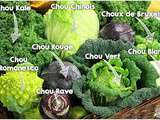 Choux (brocolis, chou rouge, chou fleur, chou kale,Etc...)