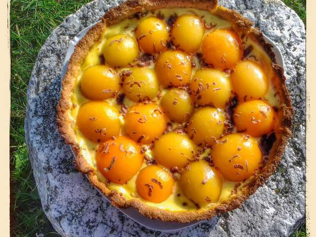 Recettes De Tarte Aux Abricots Et Thermomix