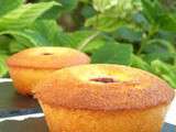 Mini cakes de polenta au citron coco et framboise