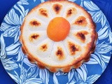 Gâteau aux abricots et fromage blanc