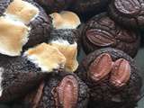 Cookies ultra chocolat délicieux