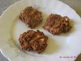Biscuits sans cuisson aux flocons d'avoine, chocolat et noix de coco