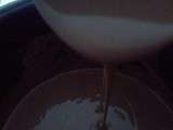 Yaourts  à boire chocolat, au lait de soja