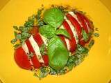 Salade de Tomate Mozzarelle Basilic
