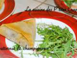 Samossas butternut & champignons