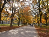 « Les feuilles tombent déjà » : l’automne arrive plus tôt que prévu