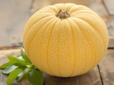 Productrice de melons révèle l’astuce incontournable pour sélectionner un fruit parfaitement mûr et parfumé
