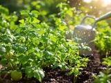 Quel est le meilleur moment de la journée pour arroser votre potager et assurer sa santé