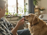 Votre chien vous lèche ? La vraie raison n’a rien d’amusant, selon un expert