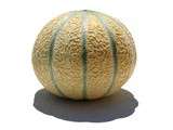 Melon charentais au cédrat vert