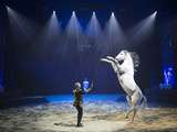 Spectacle équestre & aérien alexis gruss - les farfadais : quintessence [#show #cirque #france #paris #spectacle]