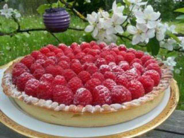 Les Meilleures Recettes De Tartes Et Framboises